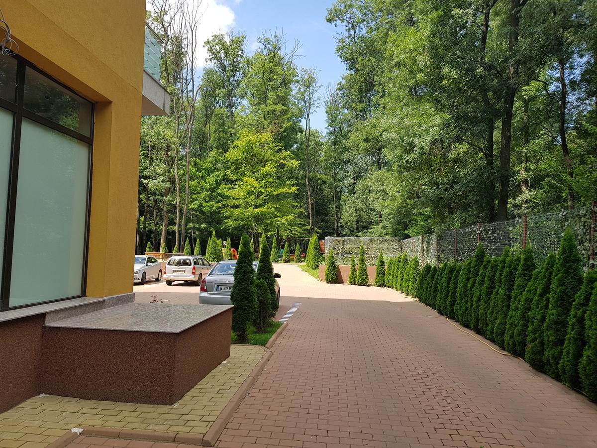 Divan Apartament Bucureşti